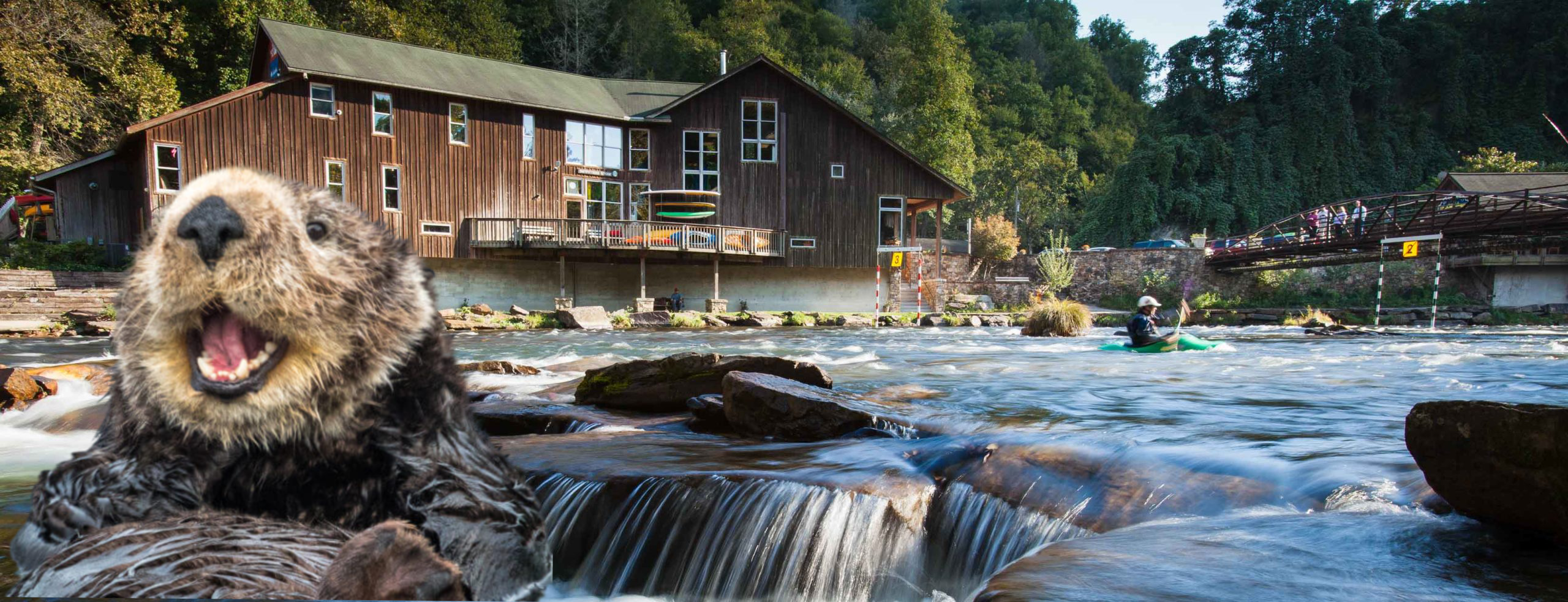 Everything You Need to Know About the Nantahala Outdoor Center (NOC) at the Nantahala Resort location in Swain County: 13077 U.S. 19 West Bryson City, NC 28713