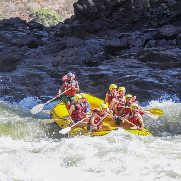 Stand-Up Paddleboarding the Nantahala: Extreme or Insane?