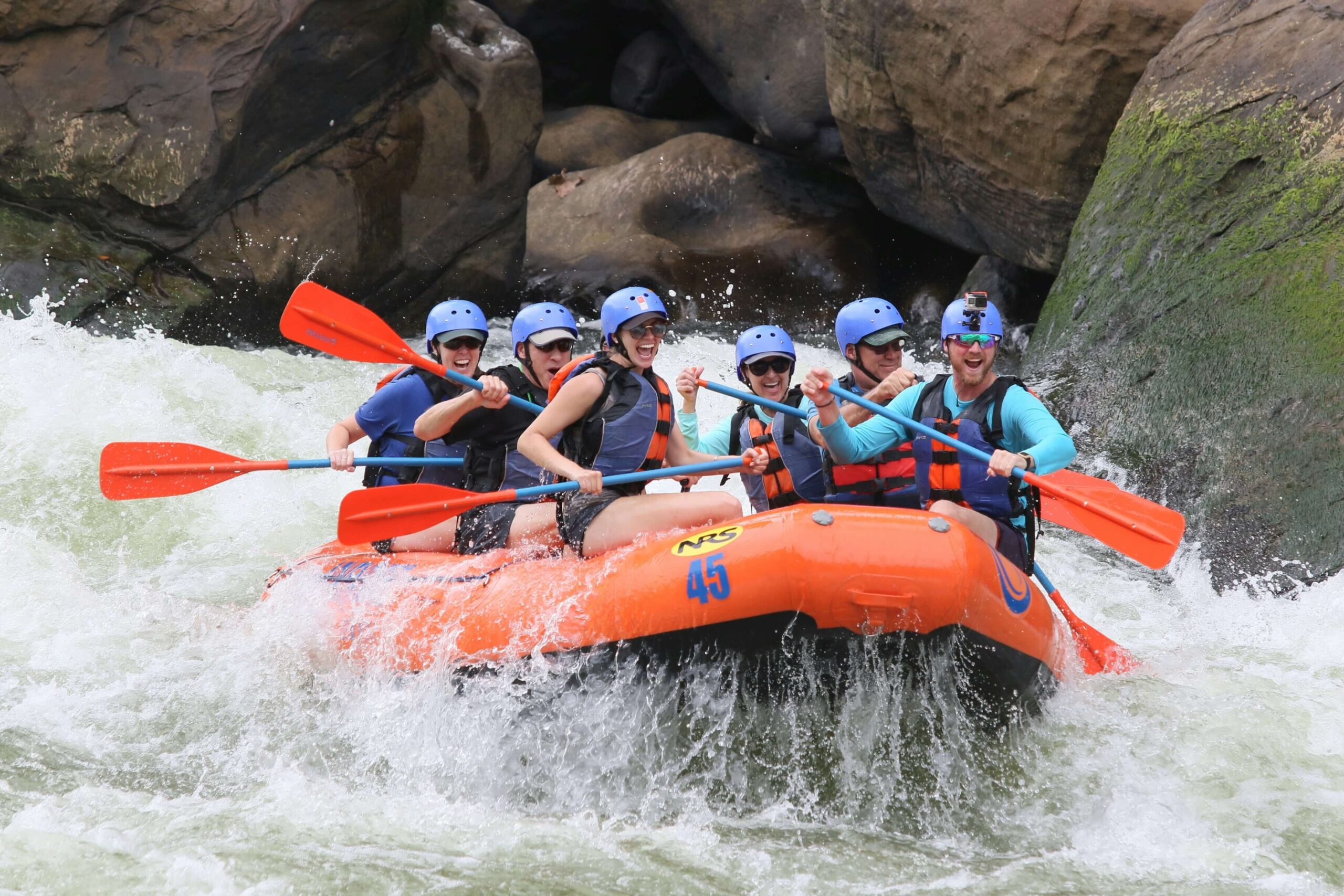 Black Bears Along the Nantahala: Encounters While Rafting