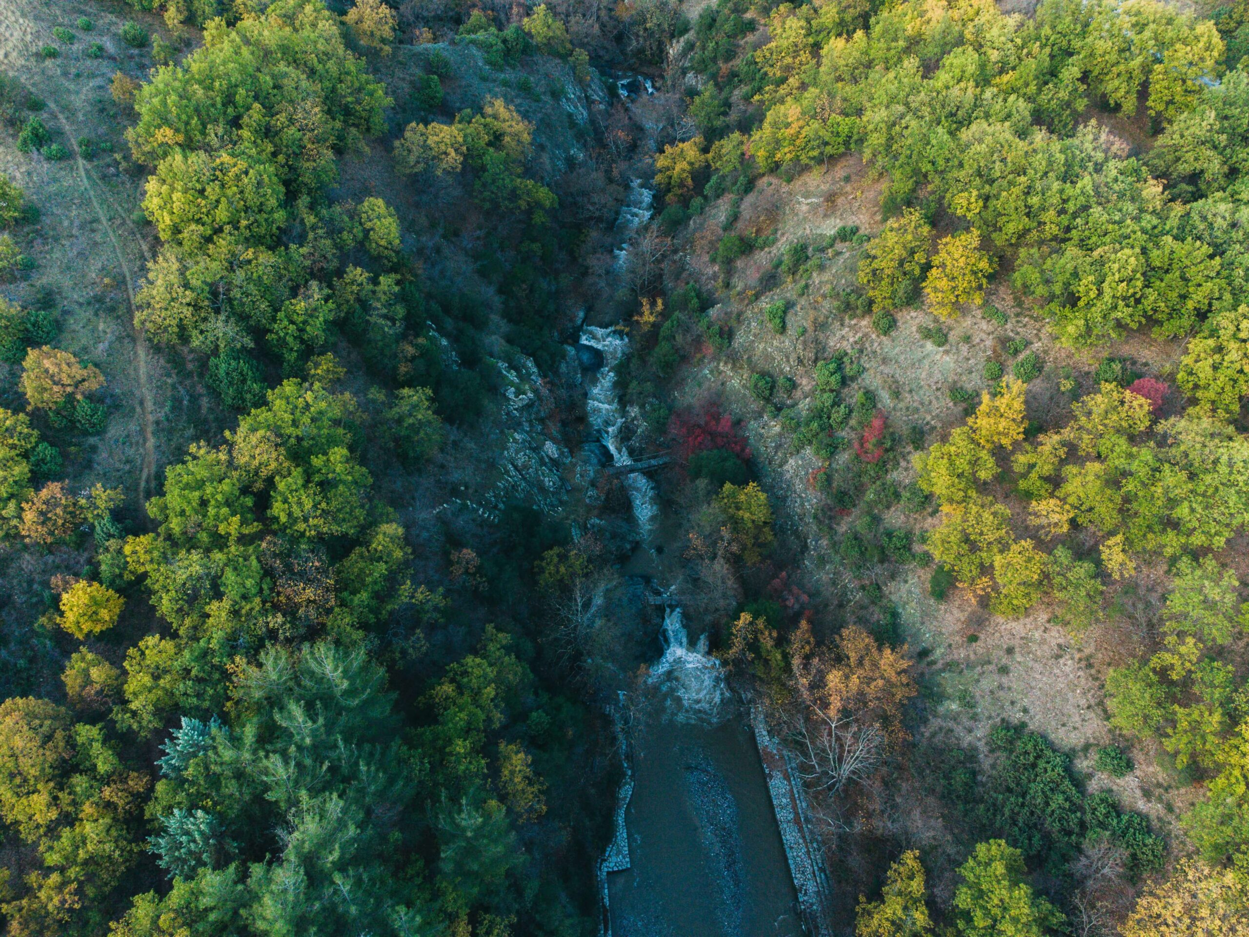 Nantahala White Water Rafting: The Truth About Water Moccasins and Copperheads